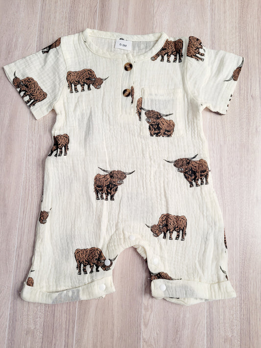 Western cattle print baby boy jumper